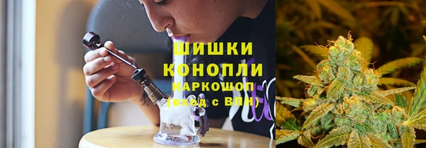 молекула духа Михайловск