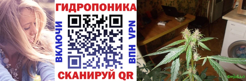 МАРИХУАНА тримм  наркота  blacksprut   площадка как зайти  Гдов 